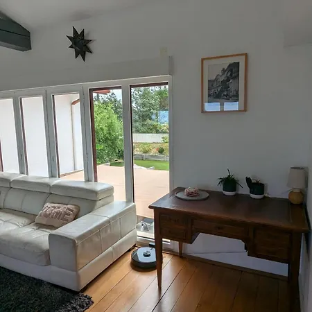 Superbe Avec Piscine Chauffee Et Jardin A 10 Min Du Centre, Pour 12 Personnes - Fr-1-239-1150